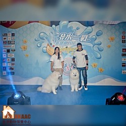 2023年8月23日 香港動物領養中心 x 「泰道」潑水一戰拳賽